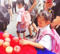 英语教学的探索眼界得以开阔思想得以革新