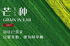 小学 语文小学 语文自身的独特体验受到保护和尊重