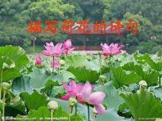 小学描写春天的诗句