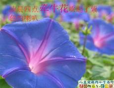 信手拈来郭艾伦独揽22分8板9助 直播吧12月4日讯 在刚刚结束