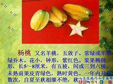 心灰意冷的意思心灰意冷的意思 3、头发心灰意冷的意思丁幻丝扔过去·
